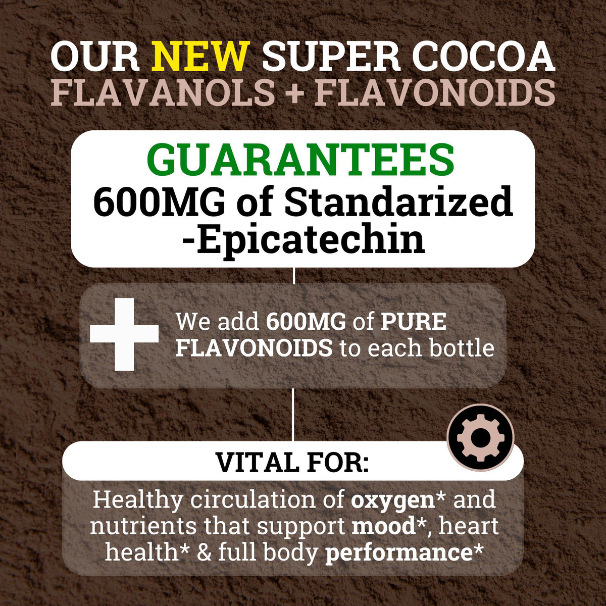 High-flavanol cocoa